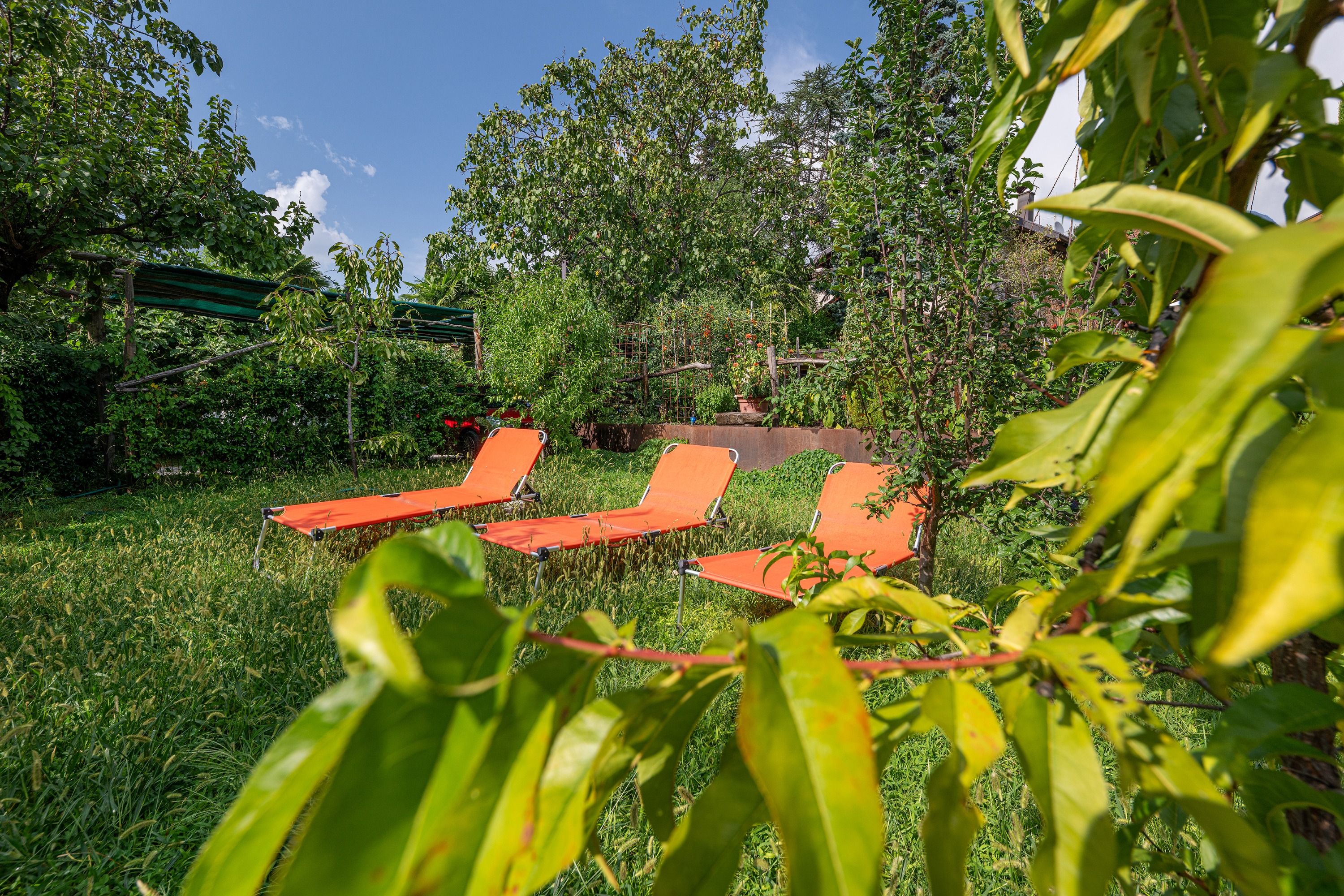 Villa Senta Haus und Garten 20