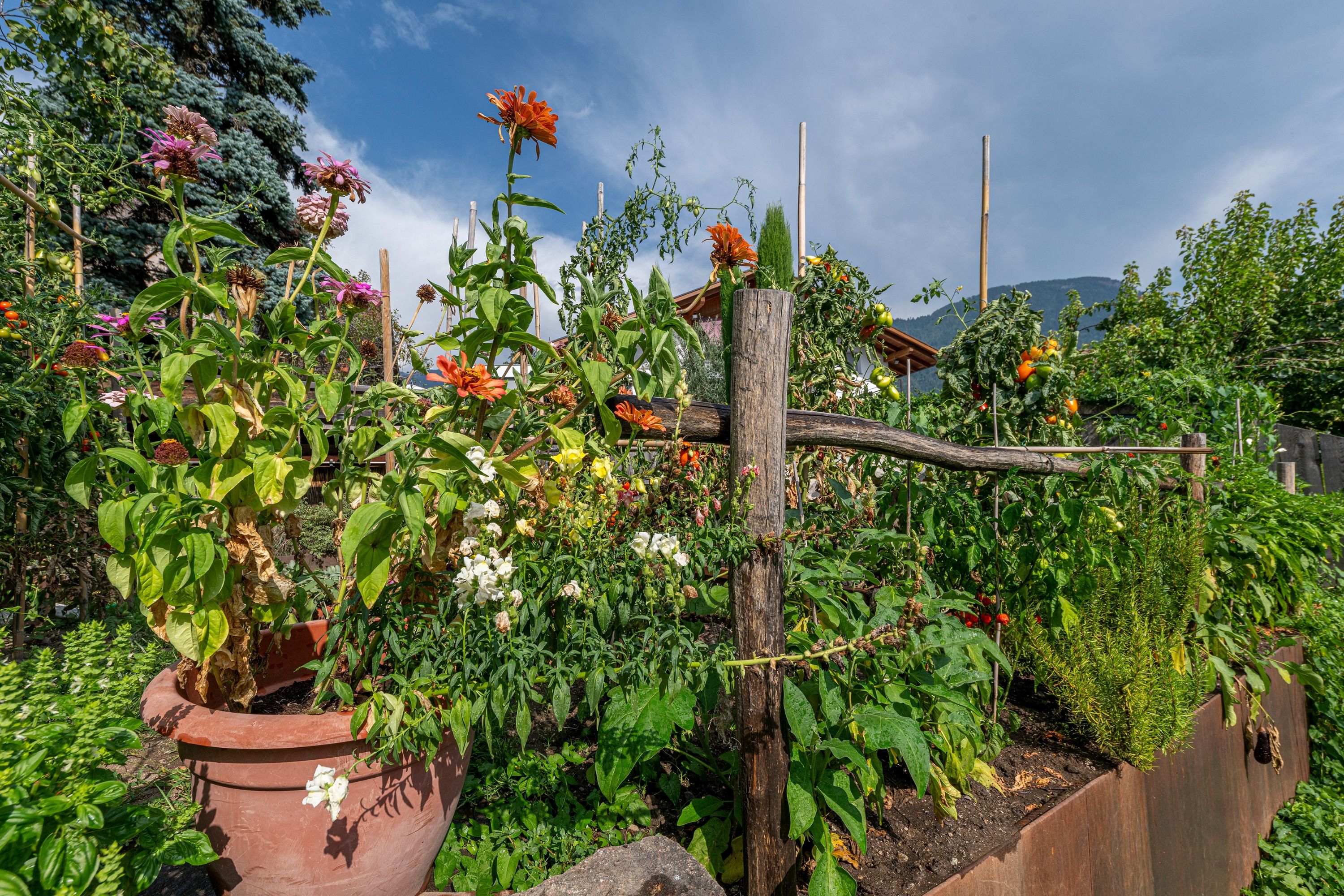 Villa Senta Haus und Garten 21