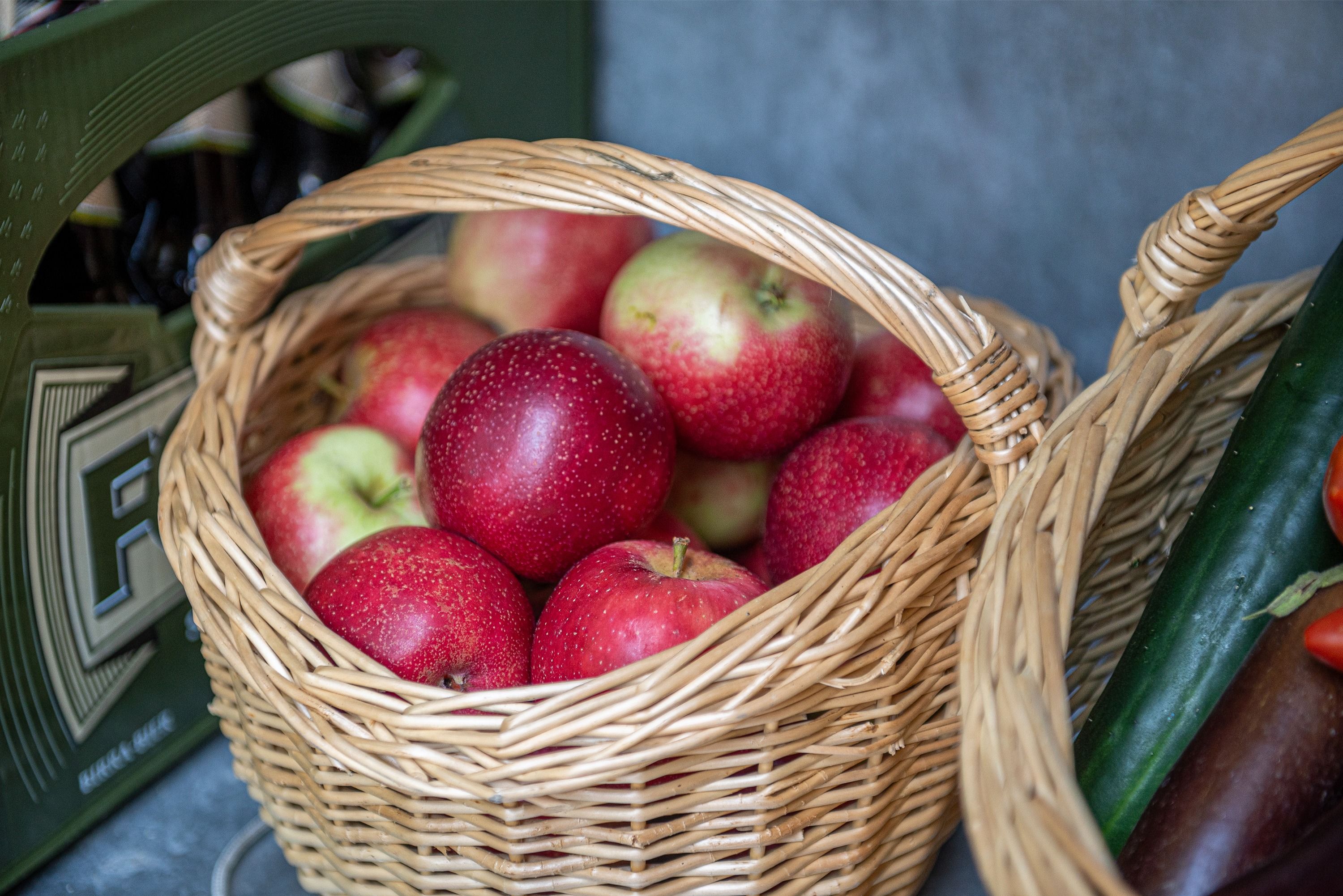 Villa Senta Haus und Garten 28