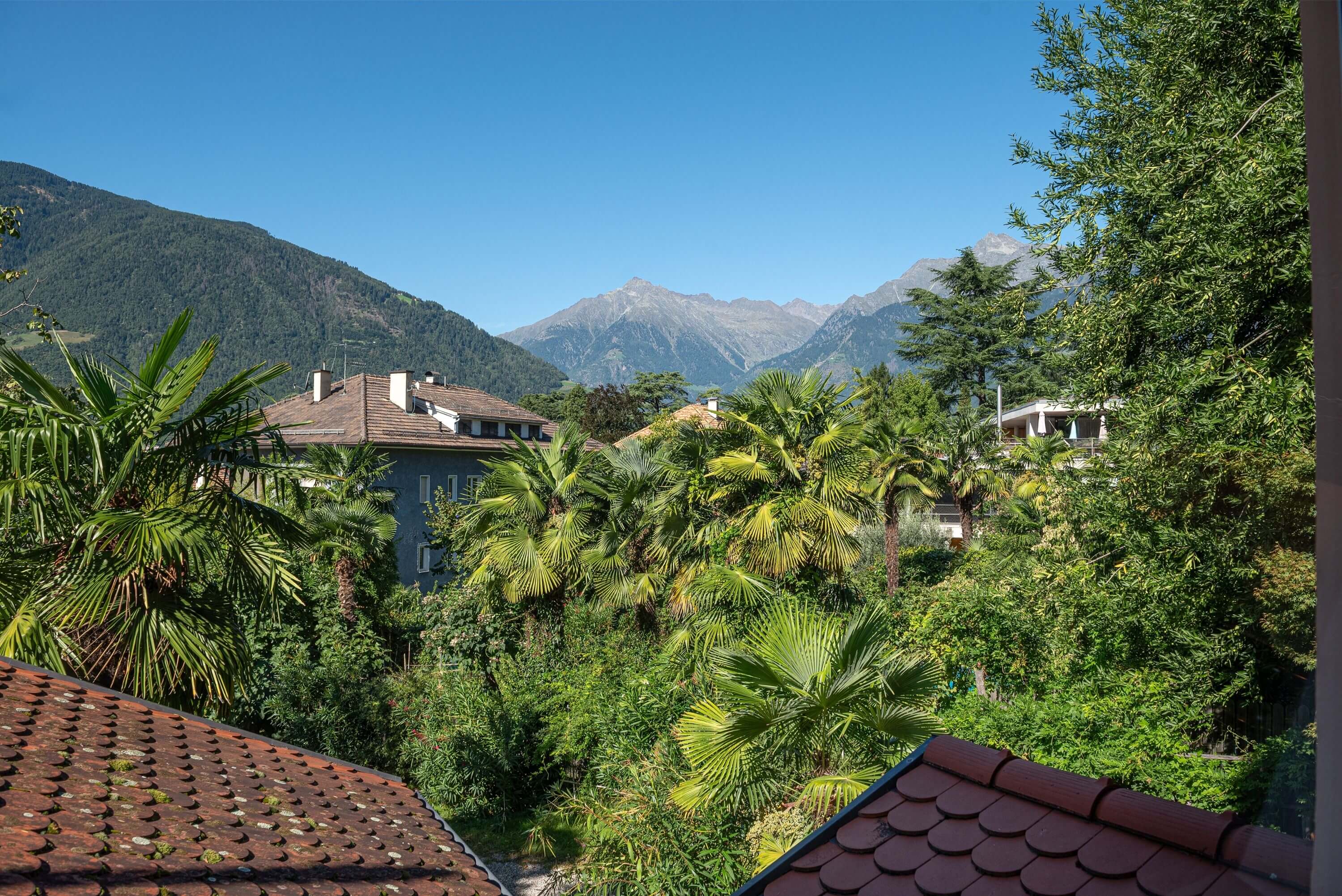 Villa Senta Senta 3 13