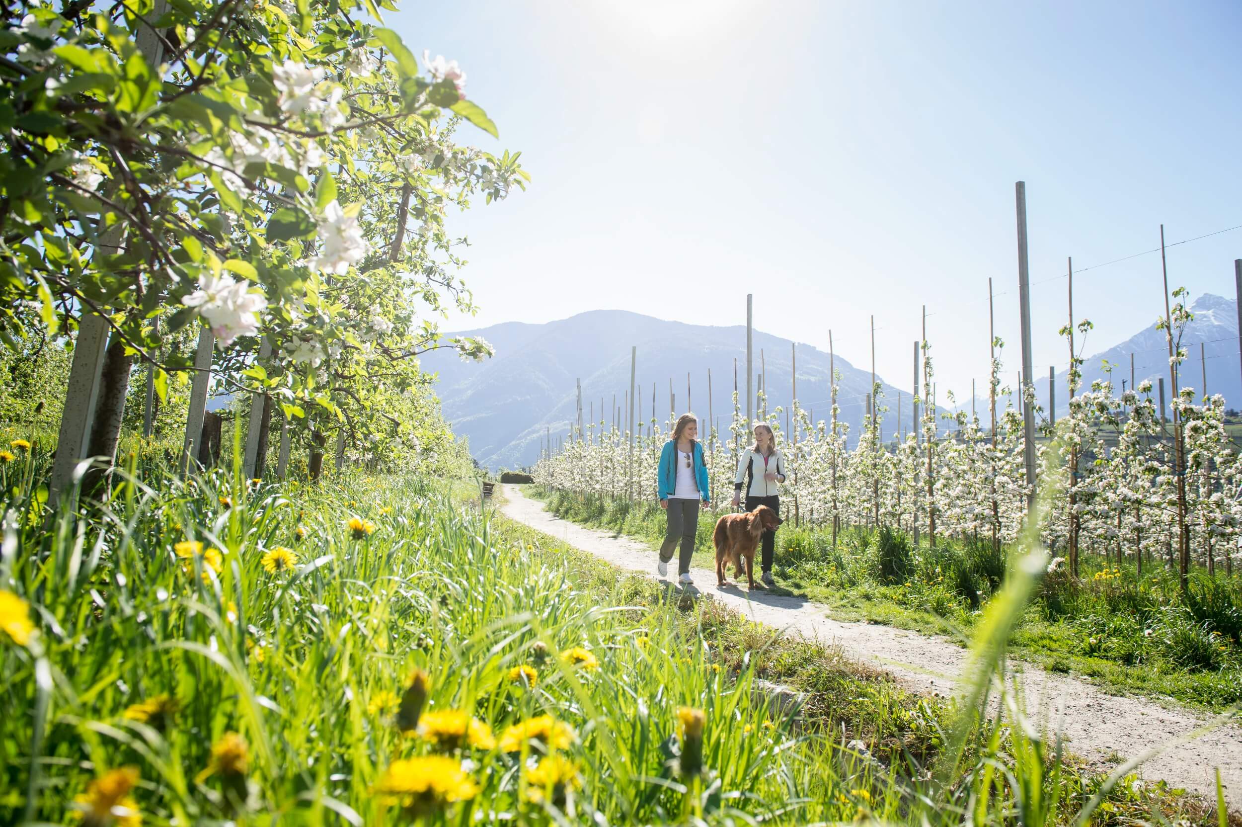 Villa Senta Wandern